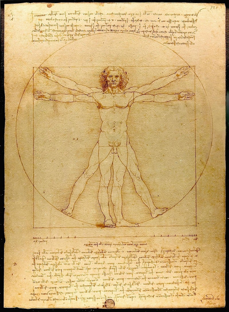 Leonardo da Vinci's Portrait